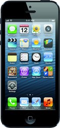 Apple iPhone 5 16GB - Благодарный