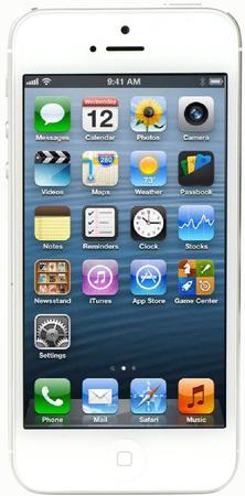Смартфон Apple iPhone 5 64Gb White & Silver - Благодарный